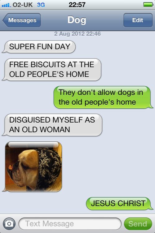 top funny iPhone best Texts from dog jokes about dogs pet family good laugh