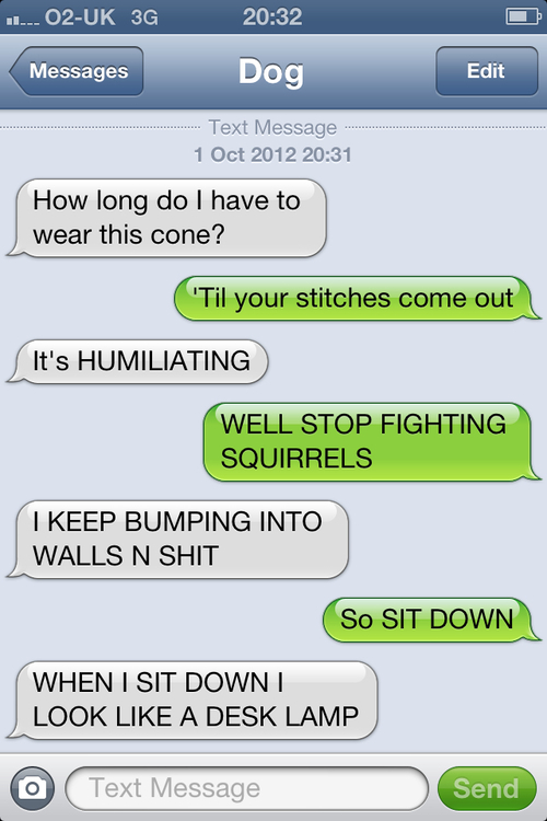 top funny iPhone best Texts from dog jokes about dogs pet family good laugh