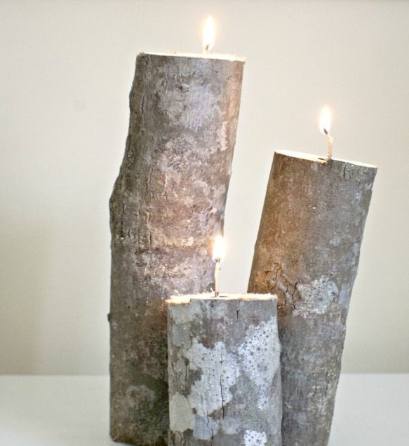 A Tree Branch Lamp On Reddit And 8 Other DIY Ideas Using Fallen Trees