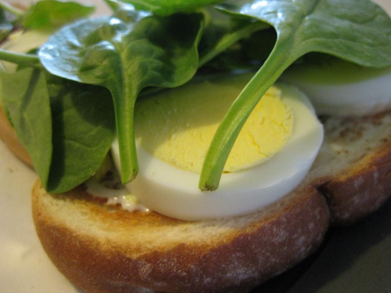 egg