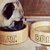 Pet Dishes 