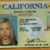 Jodi Arias Drivers License