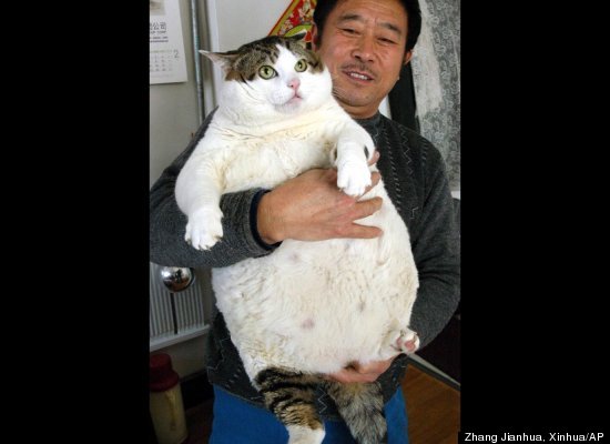 http://i.huffpost.com/gadgets/slideshows/27396/slide_27396_287663_large.jpg?1307503695484