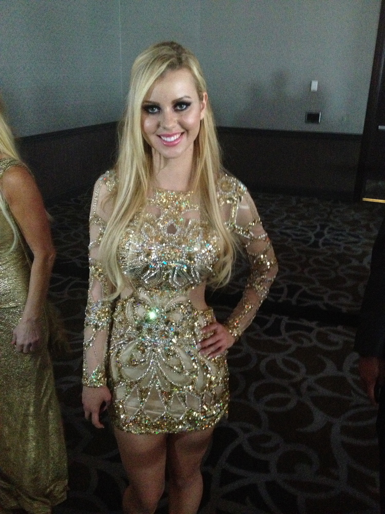 El oscar porno, premios AVN El oscar porno, premios AVN