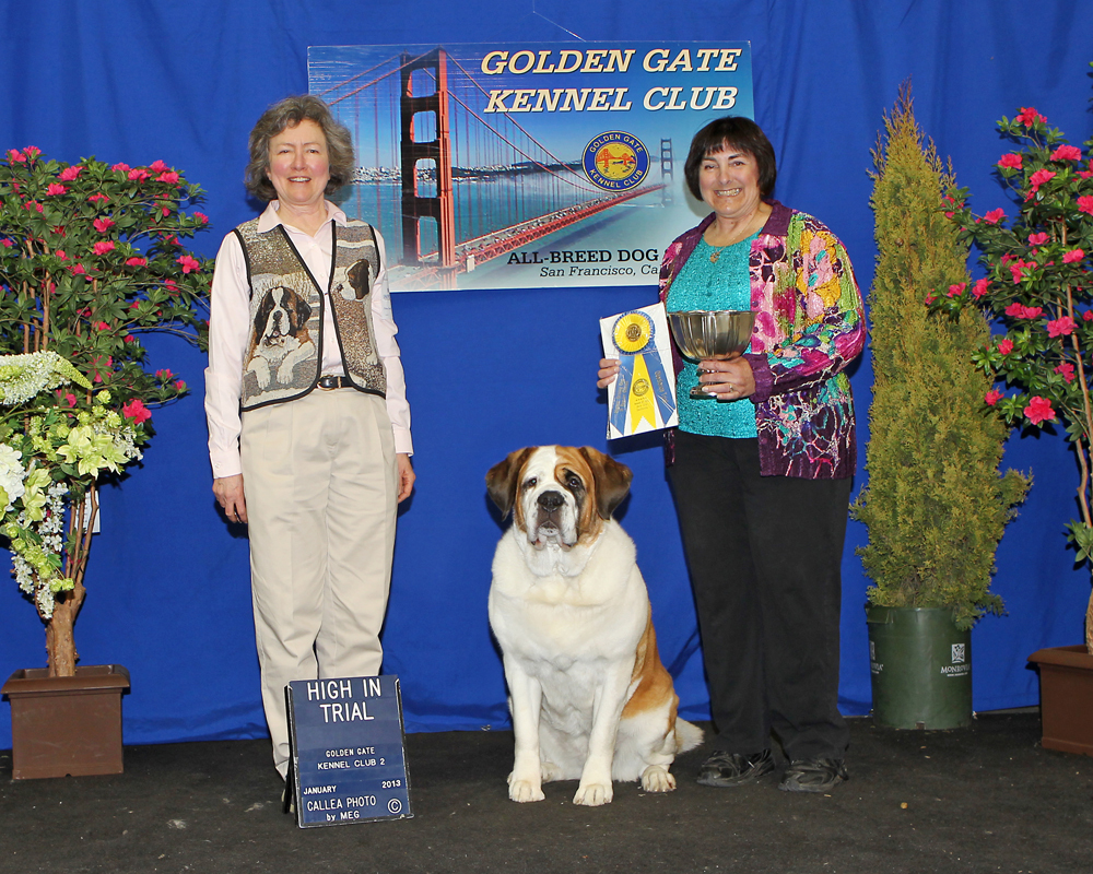 Golden Gate Kennel Club Dog Show Was A PoochLover's Paradise (PHOTOS