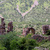 Bhangarh, Rajasthan, Inde