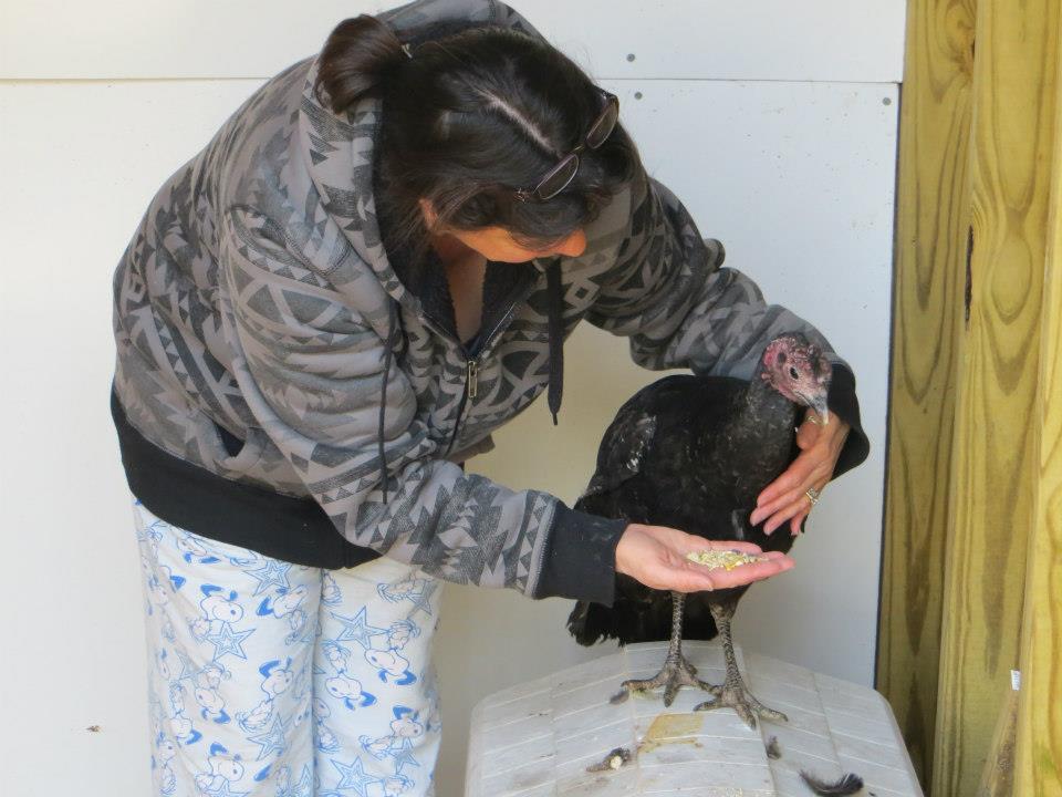 Wildlife In Need Of Rescue And Rehabilitation Ordered To Relocate In