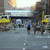 Boston Marathon Explosion