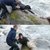 Un gesto con animales