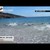 Bañistas salvando a delfines varados