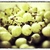 Les raisins
