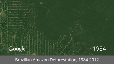 アマゾンの熱帯林の減少