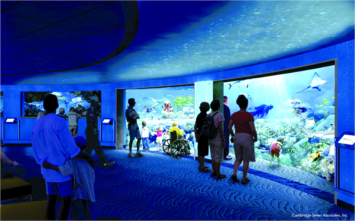 Image result for national aquarium