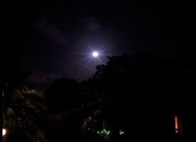 Super Moon Purple Haze