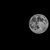 Supermoon - June 23, 2013 - Davao City, Philippines