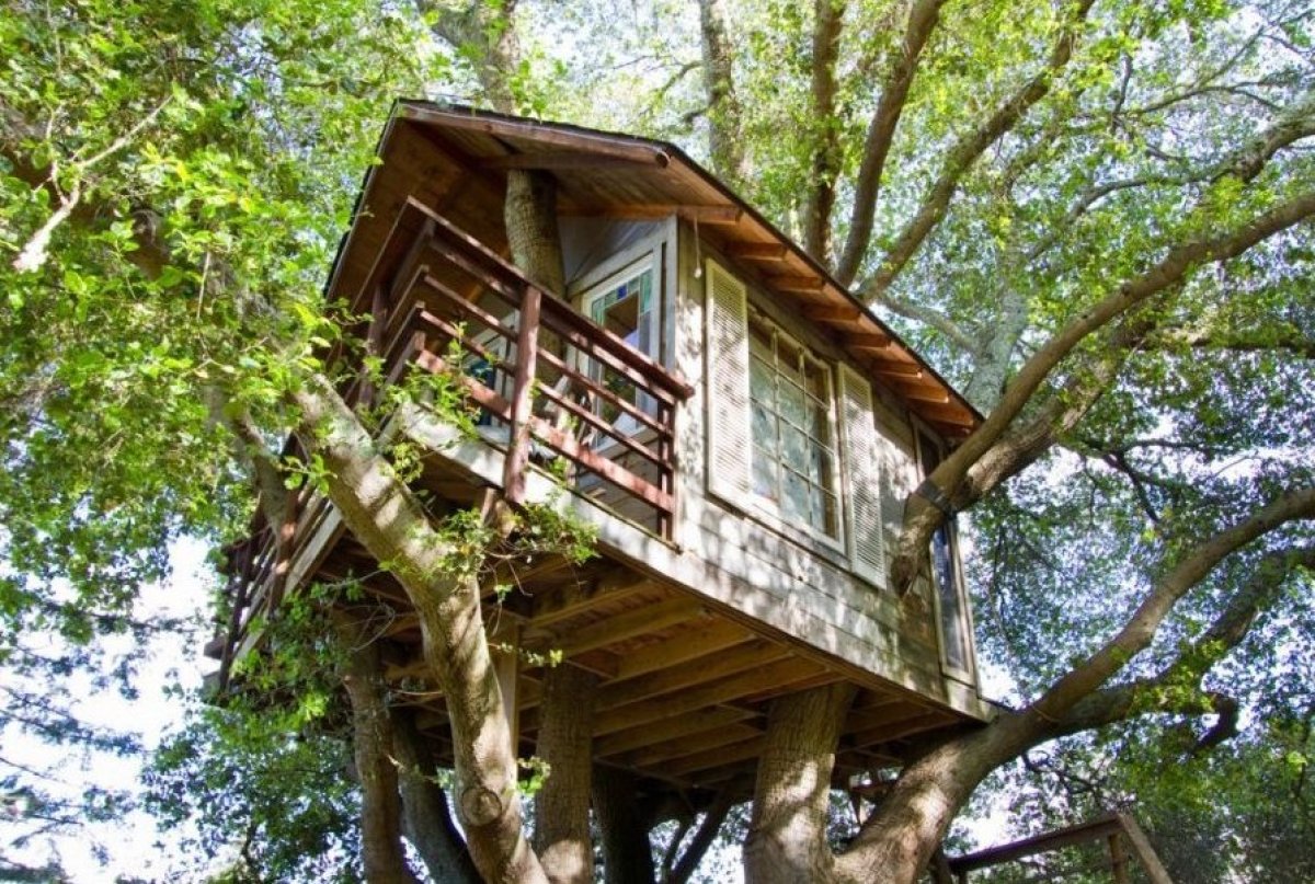 Can You Live In A Treehouse