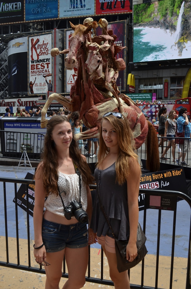 'Rearing Horse With Rider,' Plastinated Horse, Debuts In Times Square, Body Worlds Exhibit