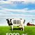 Food, Inc