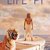 Life of Pi