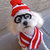 Pet Waldo Costume
