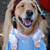 Dorothy Dog