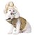 Madonna Dog