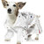 Dog Elvis