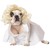 Marilyn Dog