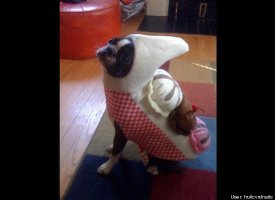 Pickle Banana Split