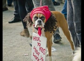 Antoine Dogson