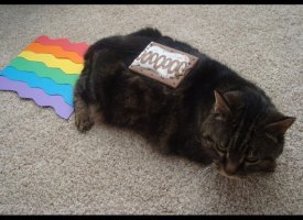 Nyan Cat