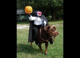 The Headless Dogsman