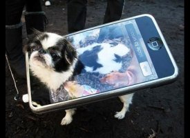 iPhone Pup
