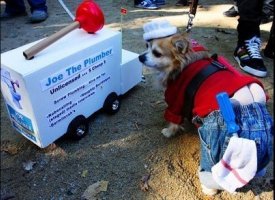 Joe The Plumber