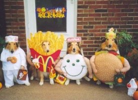 Fast Food