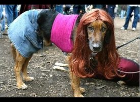 Jersey Girl