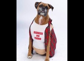 Redneck