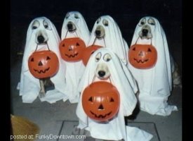 Ghosts!