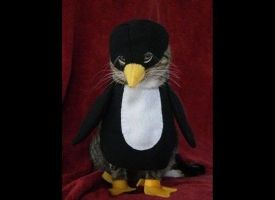 Four-Pawed Penguin