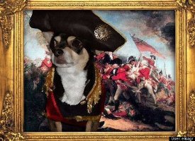 Napoleon the Chihuahua as Napoleon Bonaparte