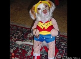 Wonder Lucy!