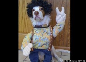 Groovy