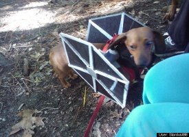Tie Fighter Lexi!