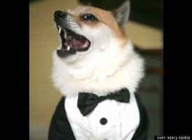 Astro Pavarotti