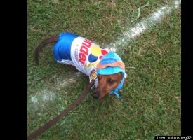 Ricky Bobby