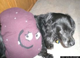 Meatwad