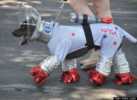 Toby the Space Pup