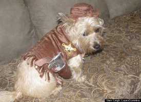 Frankie, the new sheriff in town!
