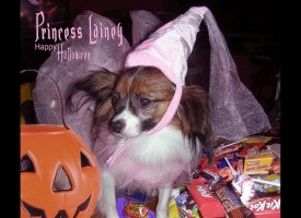 Princess Lainey