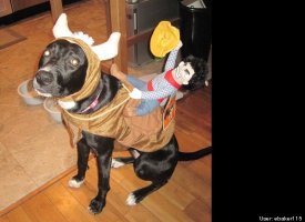 Rodeo Ruthie